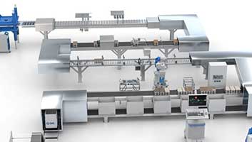 Proceso Packaging
