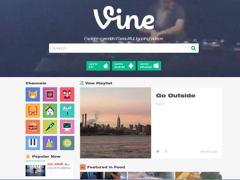 Vine